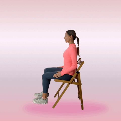 seated leg exercise